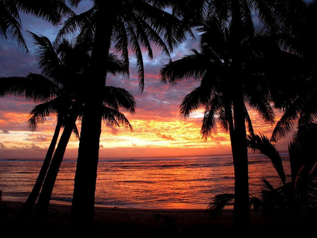 Sunhaven Beach Bungalows (Adults Only) Rarotonga Eksteriør billede
